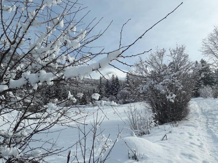Apartment Duplex 59m2 - Proche Centre - Balcon Plein Sud *