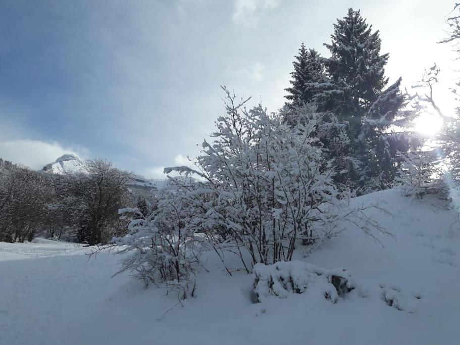 Apartment Duplex 59m2 - Proche Centre - Balcon Plein Sud